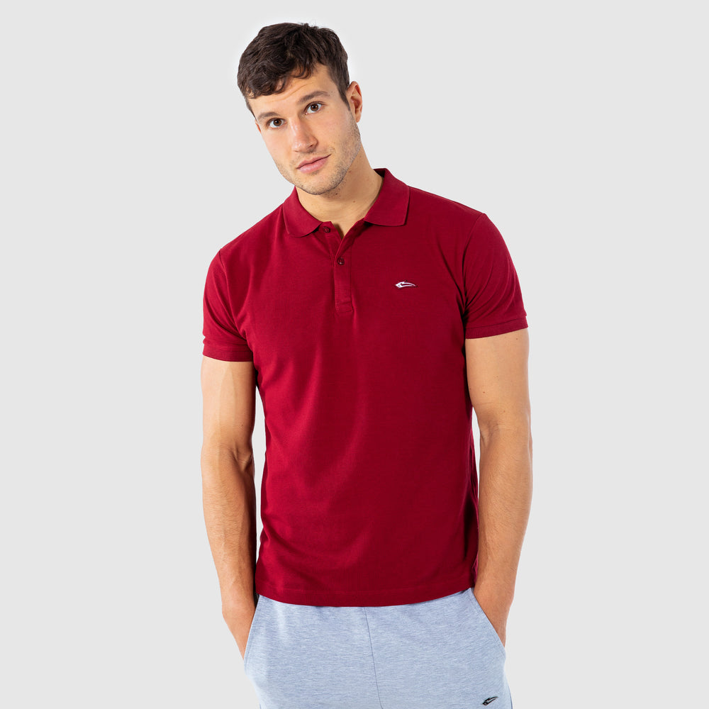 Polo Zaynere