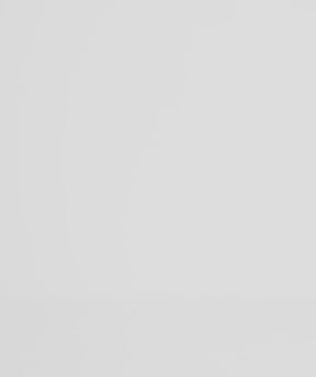 Tシャツジョーイ