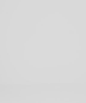 ショーツレスリー