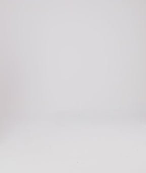 Tシャツ ヘイリー