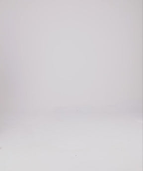 Tシャツ ヘイリー