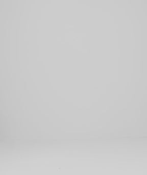 Tシャツ グレイディ