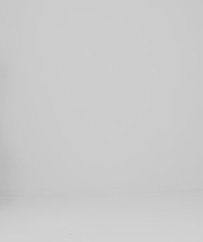 Tシャツ グレイディ