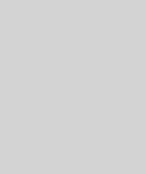 タンクトップ レイ