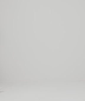 Tシャツ グレイディ