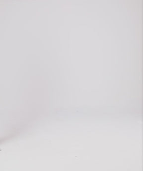 Tシャツ ヘイリー