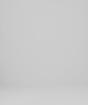 Tシャツ グレイディ