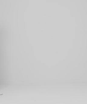 Tシャツ グレイディ