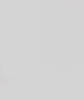 Tシャツジョーイ