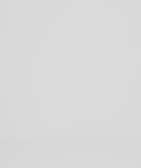 ショーツレスリー