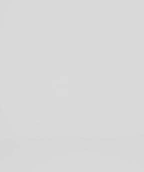 ショーツレスリー