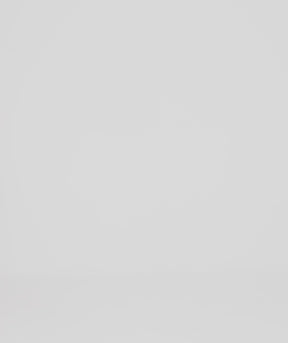 ショーツレスリー