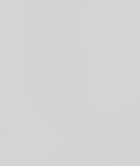 Tシャツジョーイ