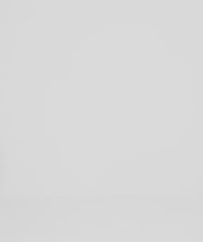 ショーツレスリー